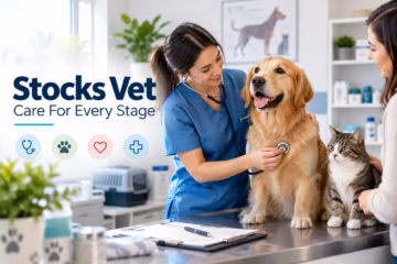 Stocks Vet veterinarian examining a golden retriever with a cat nearby in a modern veterinary clinic.