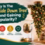 Upside-down Christmas tree decorated with lights and ornaments in a cozy living room, highlighting the growing trend.